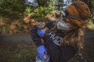 Person holding small animal.