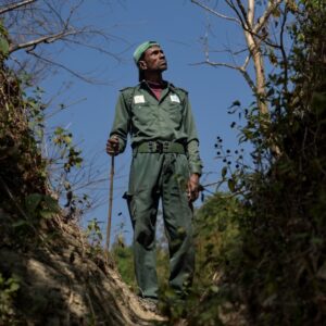 Person standing in brush area.