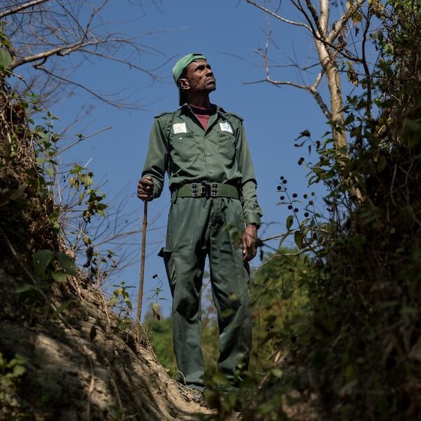 Person standing in brush area.