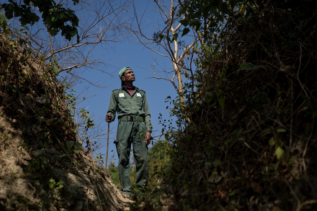 Person standing in brush area.