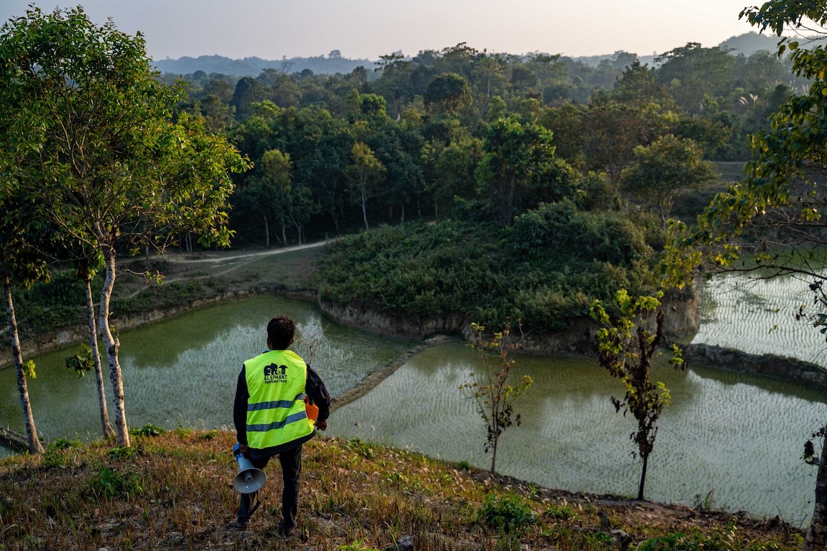 Person standing and looking over water and forest.