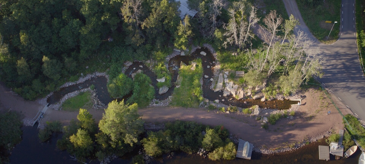 Overview shot of water and plants