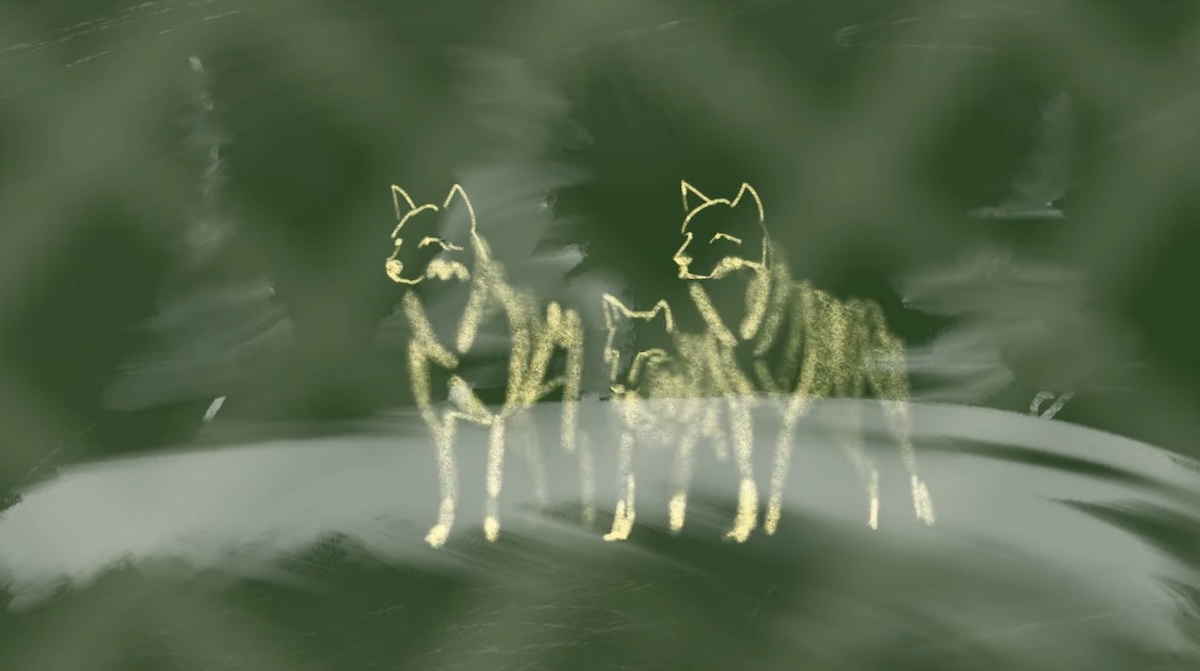 Drawing on chalkboard of group of wolves.