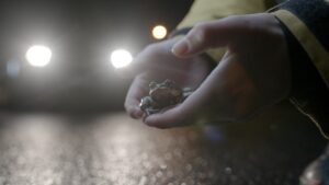 Frog in person's hands near road.