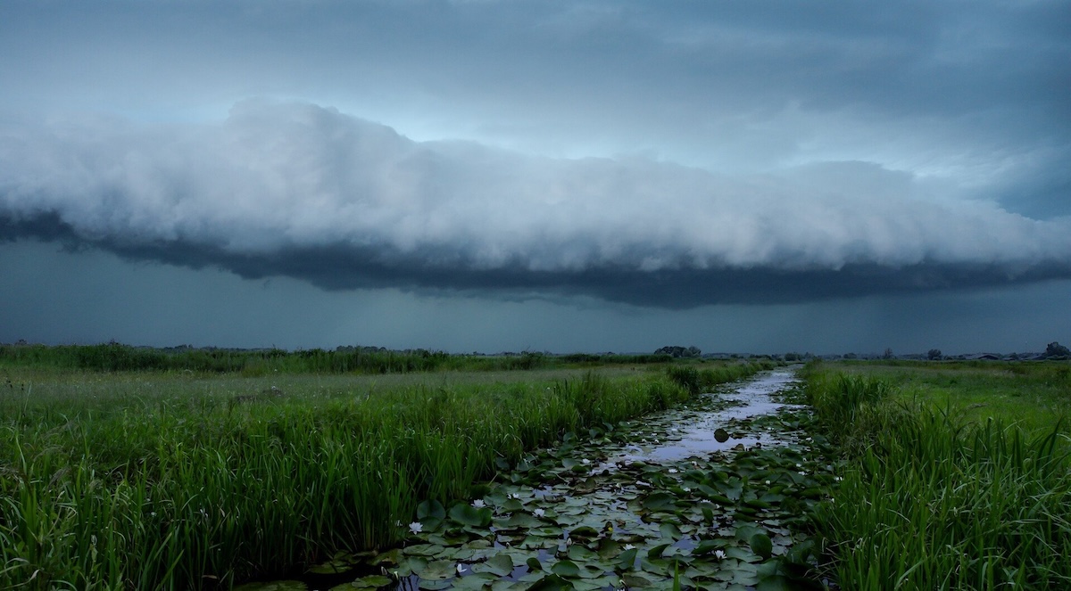 Storm over water and grasses.