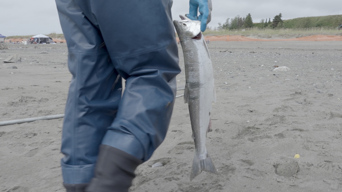 Person walking holding fish.