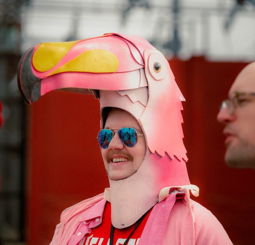Taira_Wild-Walk-Flamingo Person wearing a bird coustume.