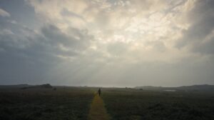 Gig sky and grass lands.