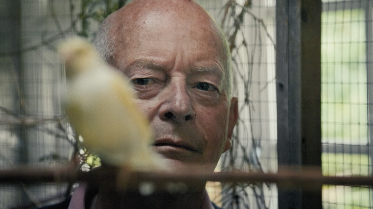 Person looking at bird.