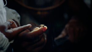 Honeybee on person's finger.