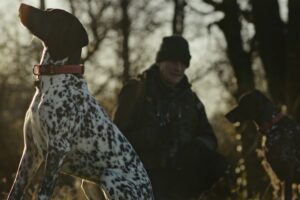 Dog pointing and people standing outside.