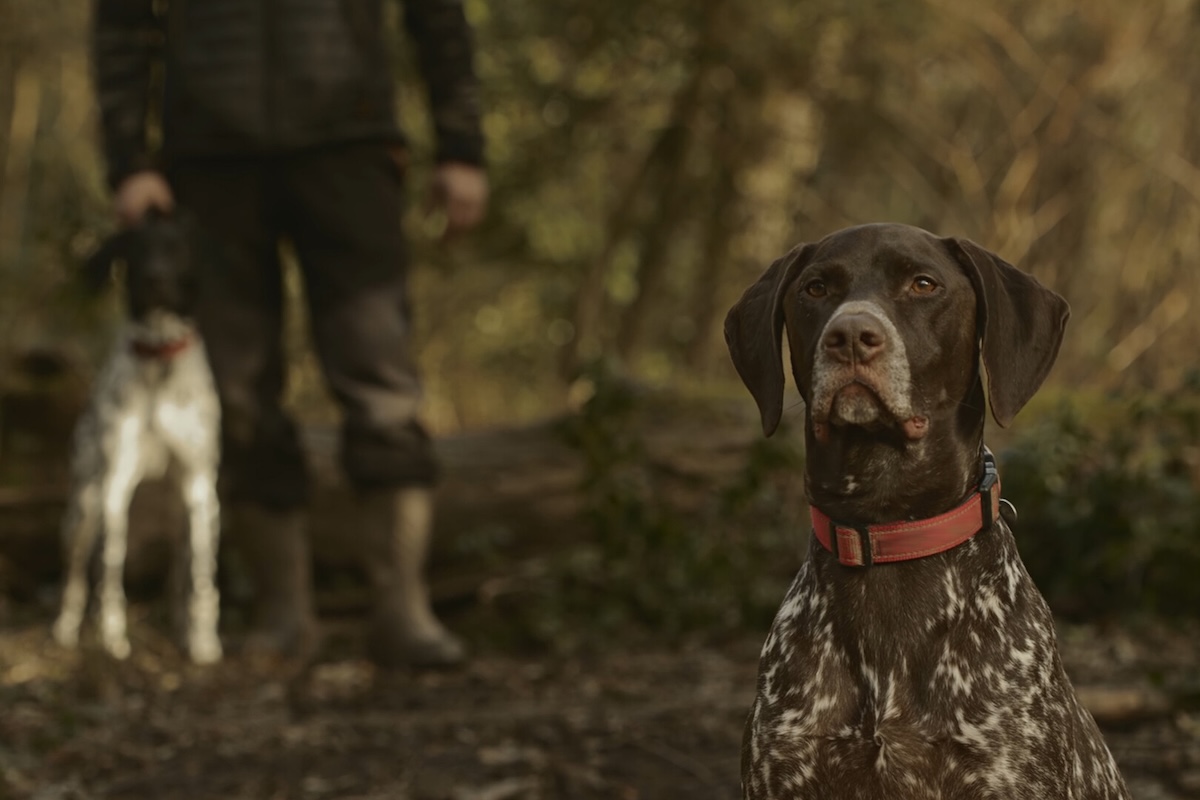 Dogs and person standing outside.