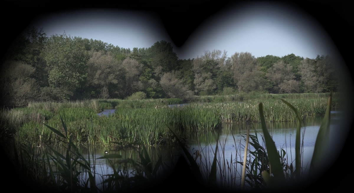 Looking through binoculars at marsh land.