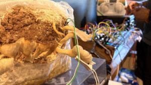 Wire connected to rock-like object,