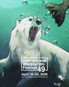 Poster for International Wildlife Film Festival.