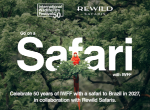 Poster with text and red bird in trees.