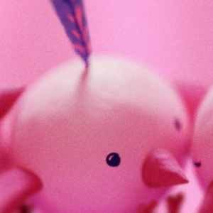 iwff_square (7) Pink bird.