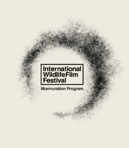 Logo for IWFF murmuration.