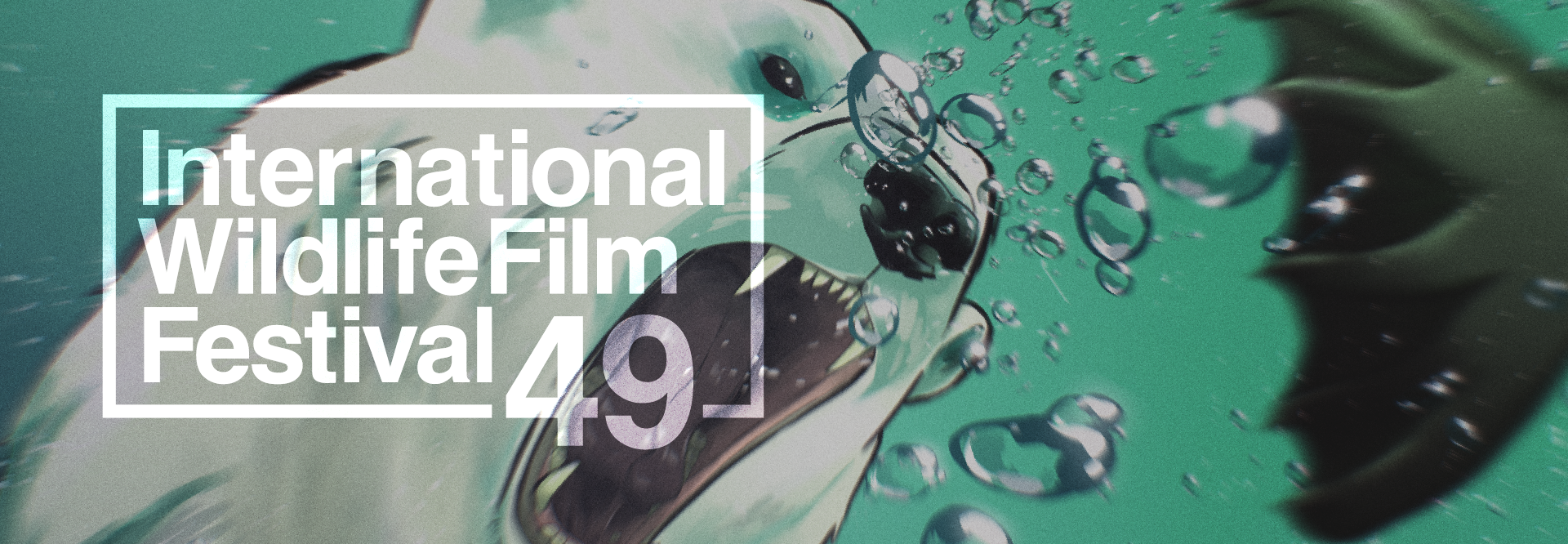 Poster for International Wildlife Film Festival.