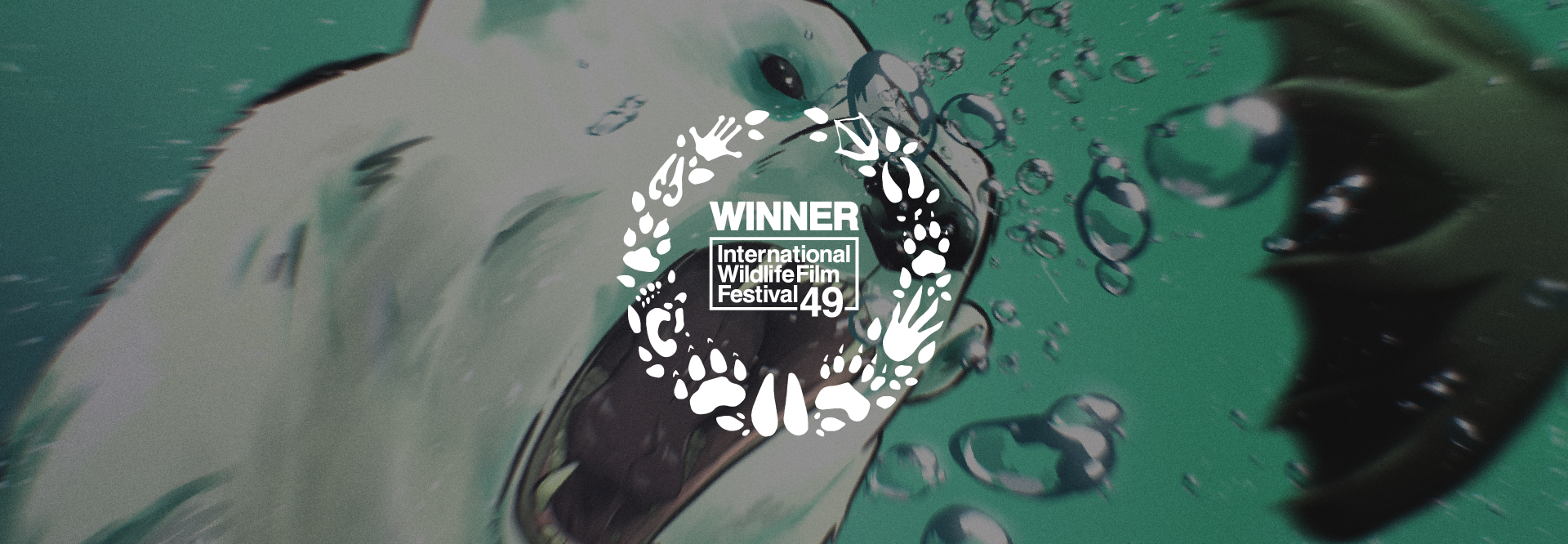 Banner for IWFF award winners.