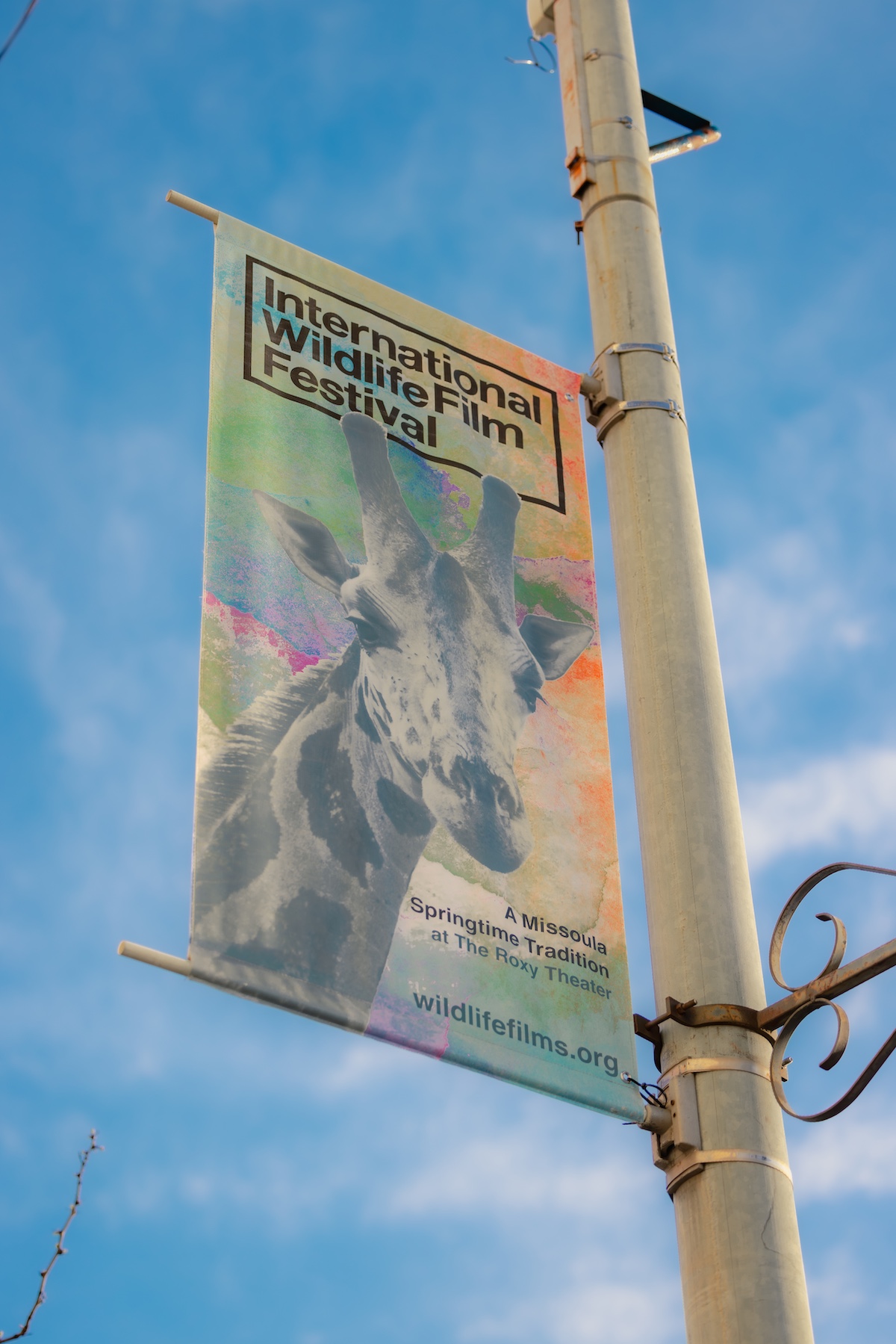 wildlife-banner